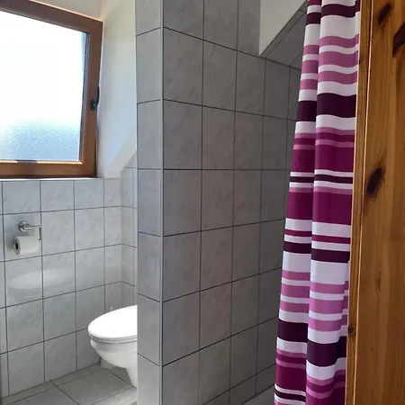 Burg Maus * Lahnstein