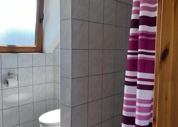 Burg Maus * Lahnstein